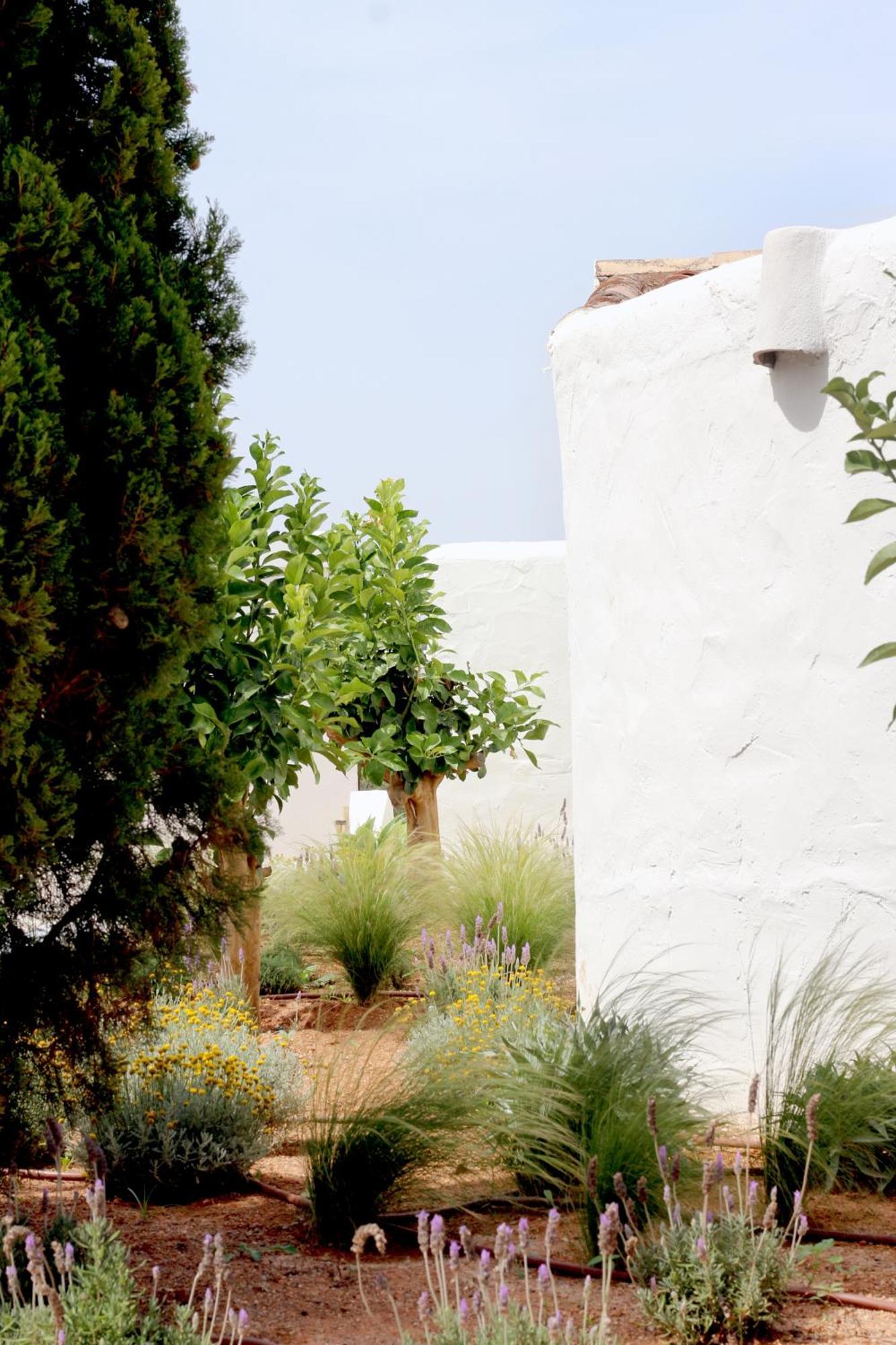Aguamadera Villa Santa Eularia des Riu Exterior photo